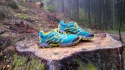 scarpa-01