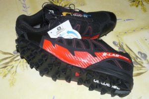 Salomon fellcross store 2
