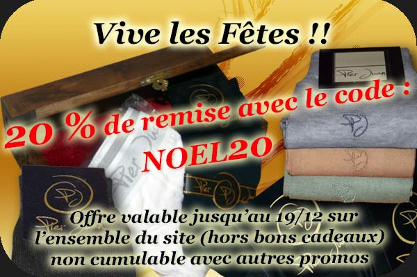 promo-accueil-noel14